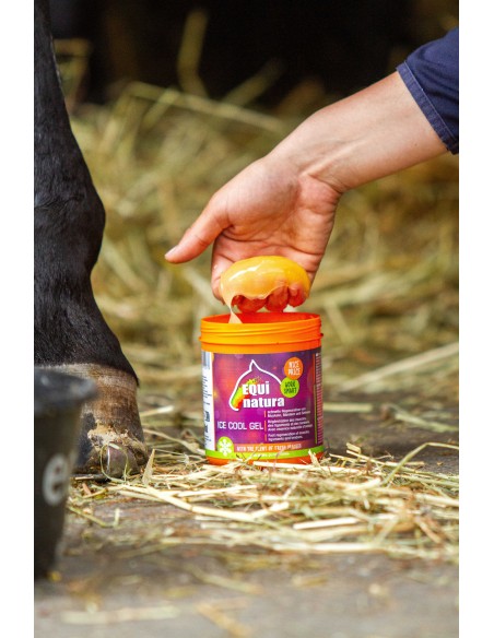 EQUINATURA Kühlgel