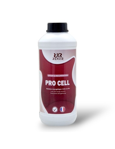 Pro Cell Rekor