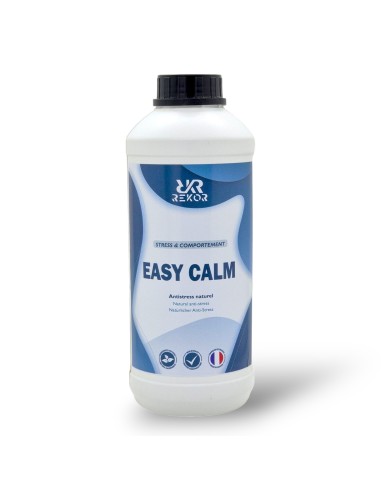 Easy Calm Rekor
