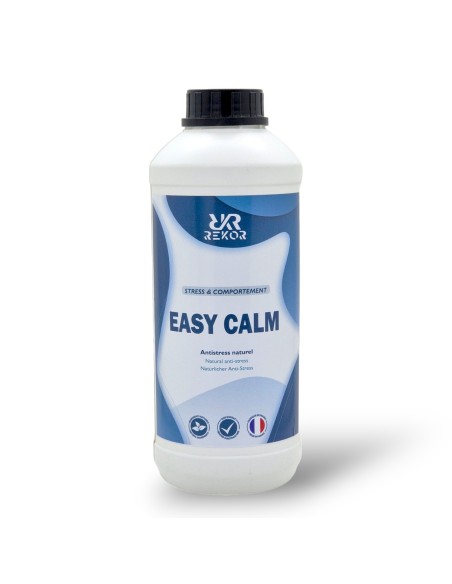 Easy Calm Rekor