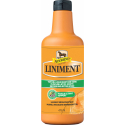 Soin ABSORBINE - Liniment Liquid