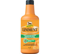 Soin ABSORBINE - Liniment Liquid