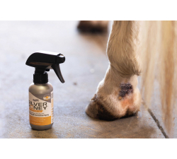 Spray Mud Defense ABSORBINE - Silver honey