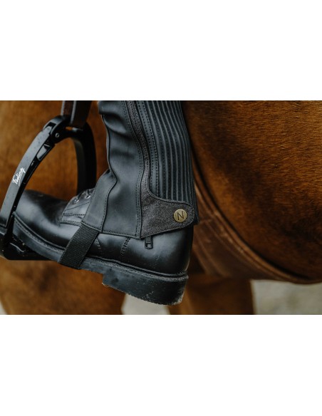 Mini-chaps Norton Galaxy – Confort, maintien et style équestre