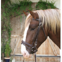 Bridon pour cheval de trait