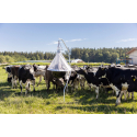 Piège à Taons Taonx 220 cm Kerbl Chevaux 