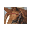 Trense Penelope Point Sellier