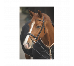 Bridon Penelope Point Sellier