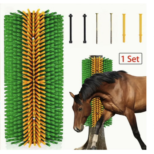 Lot De 4 Brosses Anciennes à Poils De Cheval - Pour écurie, Forme à Main, USA