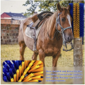 Brosse à Gratter pour Cheval