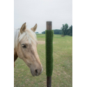 Plaque de grattage pour chevaux