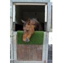 Plaque de grattage pour chevaux