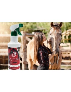 Deo Forte 2.0 anti Taon et insectes volants