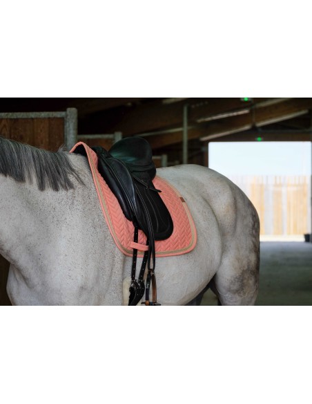 EQUITHÈME-Sattelunterlage -Softy-