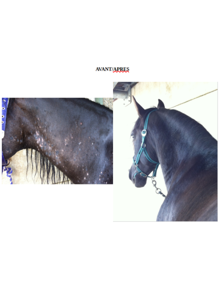 Baume de soin cheval Balsem van Warendorf