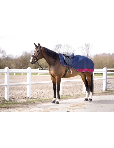 Nierendecke EQUITHÈME - TYREX Aisance 1200D