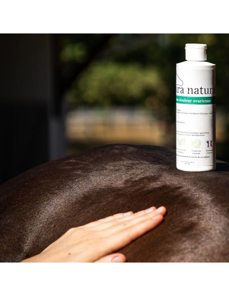Lotion pour les douleurs ovariennes de la jument