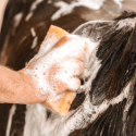 Shampoing répulsif Cura Naturale