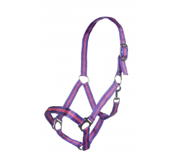 Licol Budapest HKM