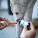 Lotion verrue et sarcoïde pour cheval
