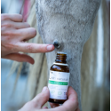 Lotion verrue et sarcoïde pour cheval