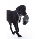 Jouet pour chien Buddy le mouton