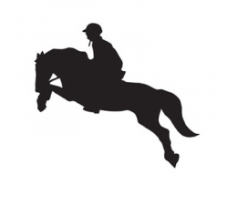 Autocollant voitures Jumping HKM