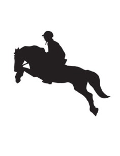 Autocollant voitures Jumping HKM