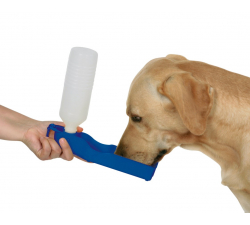 Bouteille gourde de voyage pour chien