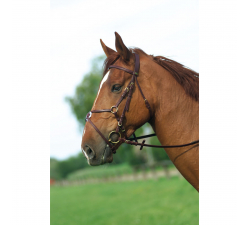 bridon-muserolle-croisee-eric-thomas