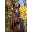 Ethologisches Halfter RIDING WORLD Seil - Fein
