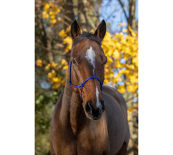 Cabestro etológico cuerda RIDING WORLD - Fine