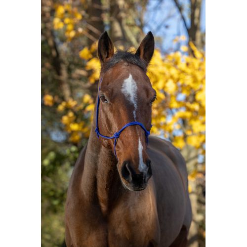 Corde à Cou Pour Cheval Rouge - Débridée, équitation, Marque Tiffany's Braided Tack - NEUVE