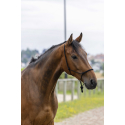 Ethologisches Halfter RIDING WORLD Seil - Fein