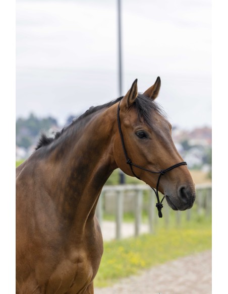 Licol éthologique Riding World – Corde Fin (6 mm) | Ajustable & Confort