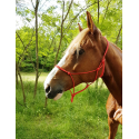 Ethologisches Halfter RIDING WORLD Seil - Fein