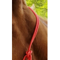 Ethologisches Halfter RIDING WORLD Seil - Fein