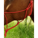 Ethologisches Halfter RIDING WORLD Seil - Fein