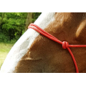 Ethologisches Halfter RIDING WORLD Seil - Fein