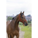 Ethologisches Halfter RIDING WORLD Seil - Fein