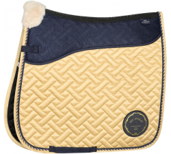 Tapis beau Hv Polo