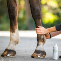 Lotion engorgement & molette Cura Naturale
