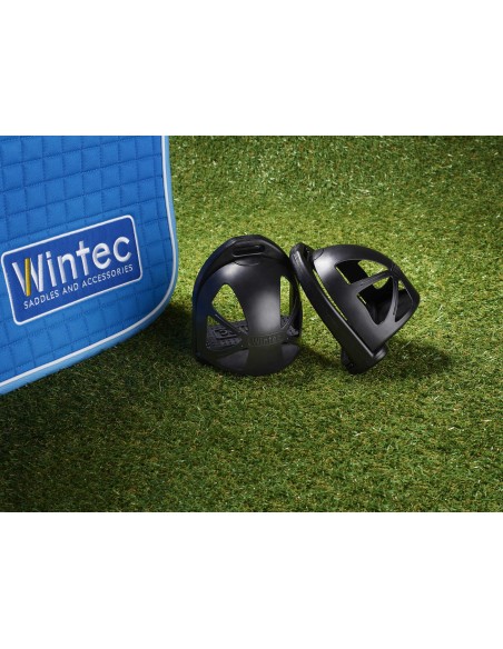 Estribos didácticos WINTEC