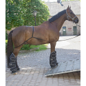 Guides d'Aide à la Montée transport cheval