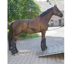 Guides d'Aide à la Montée transport cheval