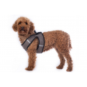 Harnais pour chien -Buddy HKM