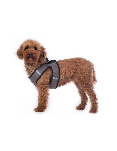 Harnais pour chien -Buddy HKM