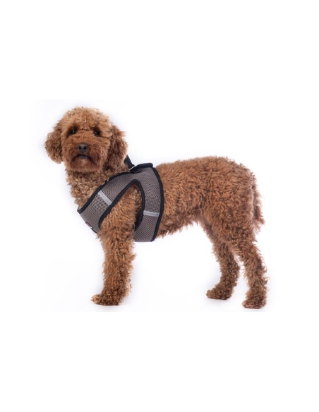 Harnais pour chien -Buddy HKM