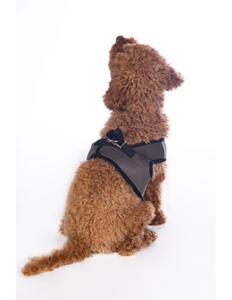 Harnais pour chien -Buddy HKM