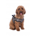 Harnais pour chien -Buddy HKM